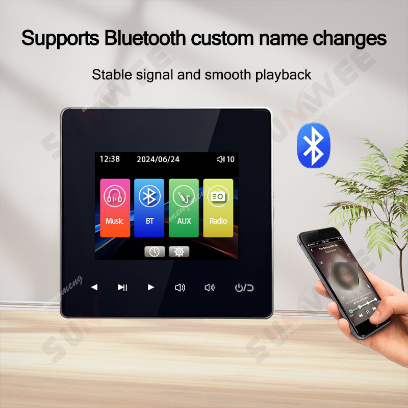86A-3 Background Music Host Ce - Audio Music Recognition review and price